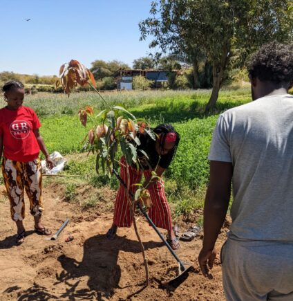 Dr. Karambu (Community hub leader from Kenya) planting a tree at Fekra cultural Center, Egypt 2022