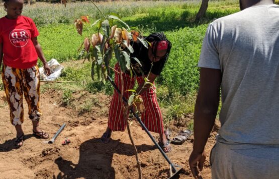 Dr. Karambu (Community hub leader from Kenya) planting a tree at Fekra cultural Center, Egypt 2022
